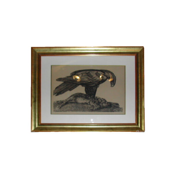 CYF_35. Dibujo águila Paul Jouve (a) CYF_35. Dibujo águila Paul Jouve (a)
